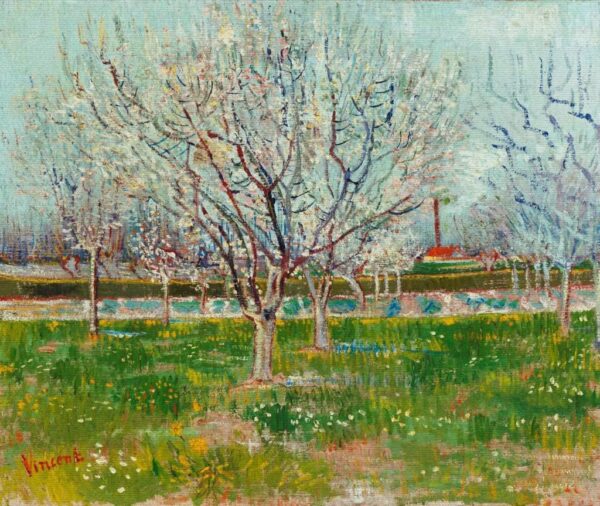 Jardim Frutífero Florescente – Van Gogh Vincent Van Gogh Artemis Reproduction