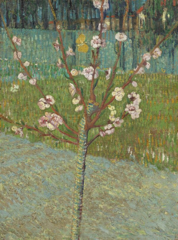 Amendoeira em Flor – Van Gogh Vincent Van Gogh Artemis Reproduction