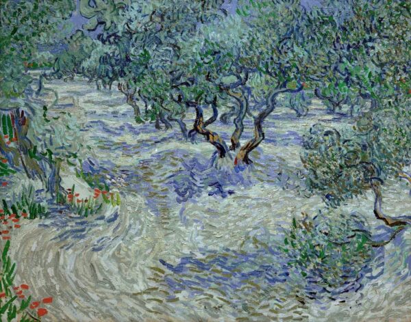 Olivenhain – Van Gogh Vincent Van Gogh Artemis Reproduction