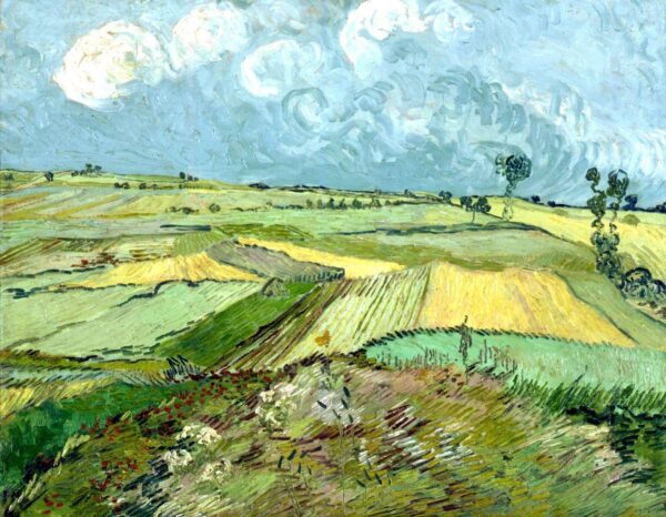 Campos de trigo após a chuva – Van Gogh Vincent Van Gogh Artemis Reproduction