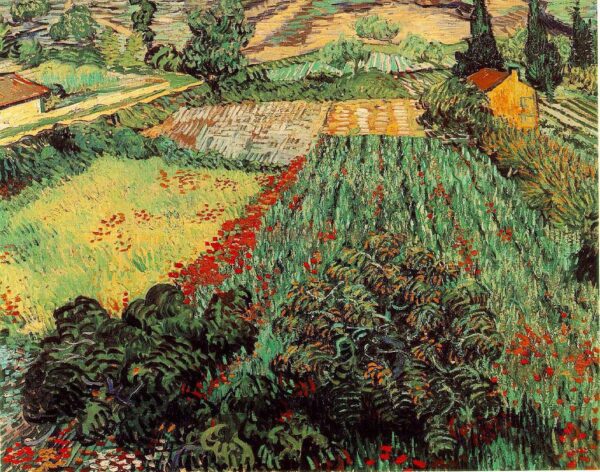 Campos de Papoulas – Van Gogh Vincent Van Gogh Artemis Reproduction