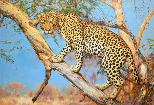 Leopardo em uma árvore – 160 x 110 cm Galeria de Arte Artemis Reproduction