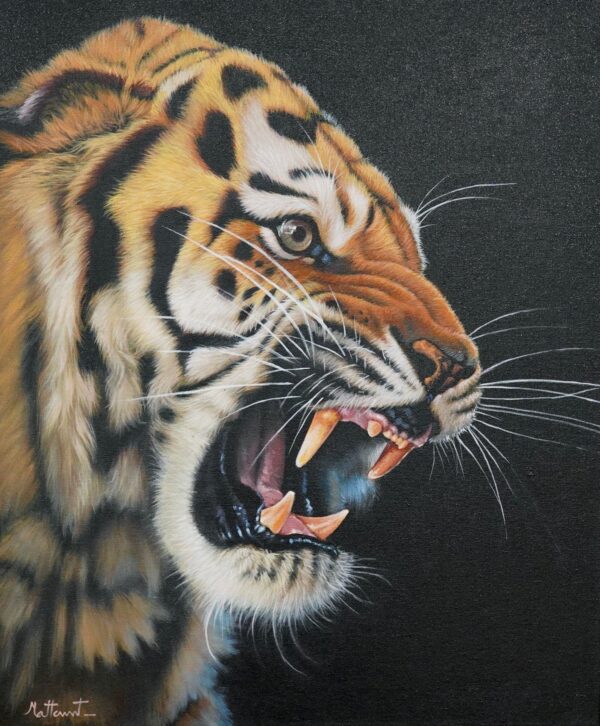 Tigre enfurecido – 50 x 60 cm Galeria de Arte Artemis Reproduction