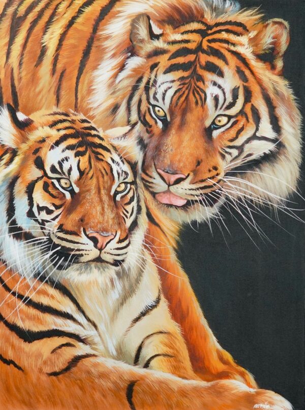 Casal de tigres – 60 X 80 cm Galeria de Arte Artemis Reproduction