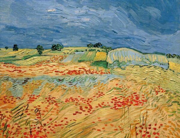 Campos de papoulas em flores – Van Gogh Vincent Van Gogh Artemis Reproduction