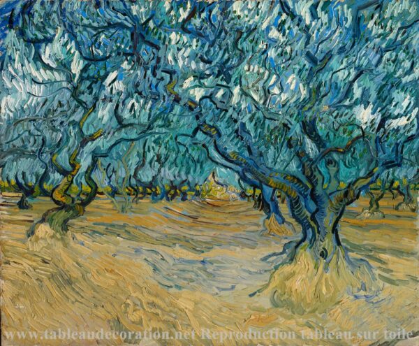 O Campo de Oliveiras – Van Gogh Vincent Van Gogh Artemis Reproduction