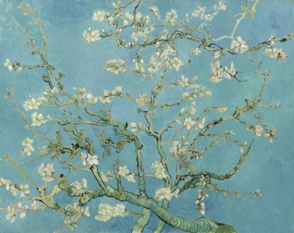 As Amendoeiras em Flor – Van Gogh Quadros Populares Artemis Reproduction