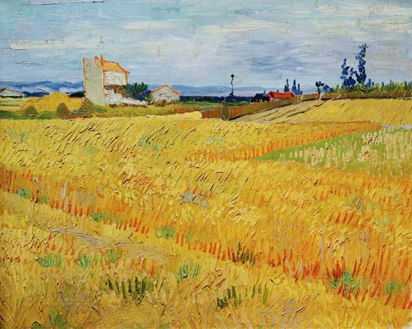 Campo de trigo – Van Gogh Vincent Van Gogh Artemis Reproduction