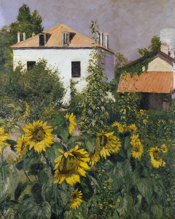 Girassóis no Jardim do Petit Gennevilliers – Caillebotte Gustave Caillebotte Artemis Reproduction