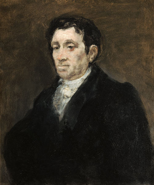 Retrato de José Pío de Molina – Francisco de Goya Francisco de Goya Artemis Reproduction