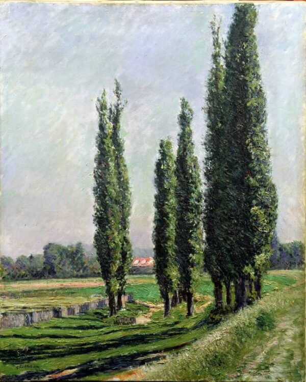 Árvores de Pópulo à Beira do Rio em Argenteuil – Caillebotte Gustave Caillebotte Artemis Reproduction