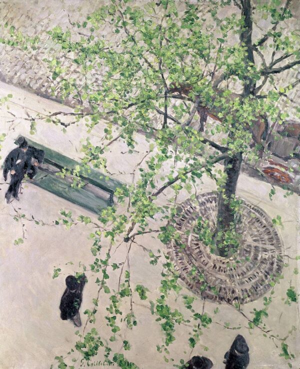 Gustave Caillebotte: Boulevard visto de cima – Caillebotte Gustave Caillebotte Artemis Reproduction